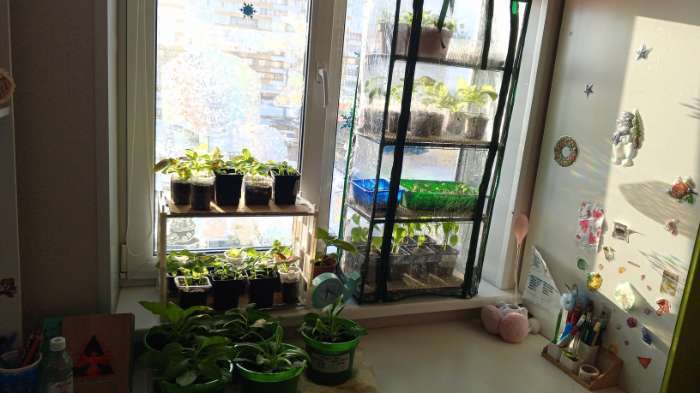 Фотография покупателя товара Парник-стеллаж, 4 полки, 105 × 24 × 46 см, металлический каркас d = 12 мм, чехол плёнка 80 мкм, Greengo - Фото 1