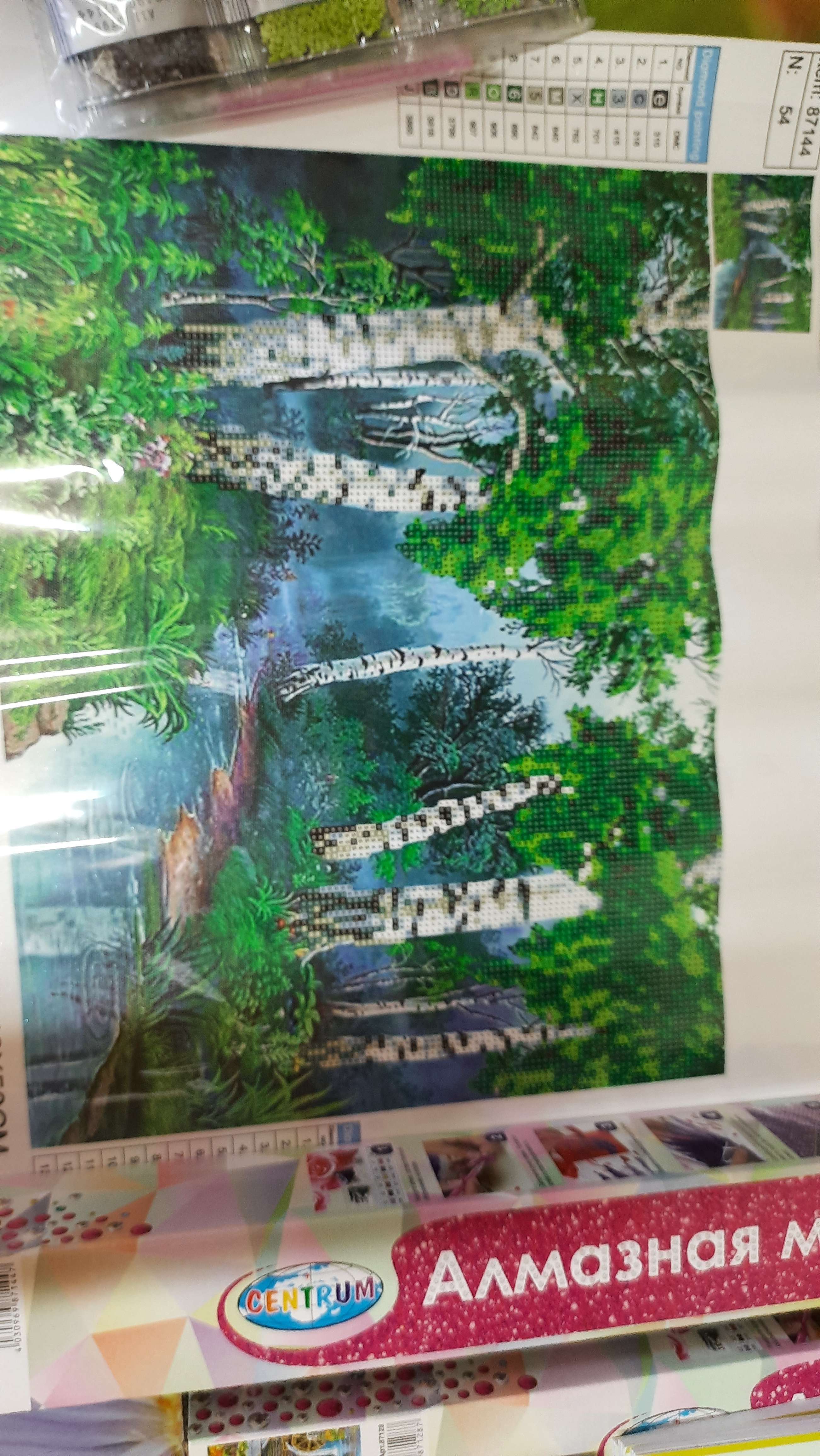 Фотография покупателя товара Алмазная мозаика без подрамника, частичное заполнение «Березовая роща» 40×50 см - Фото 1