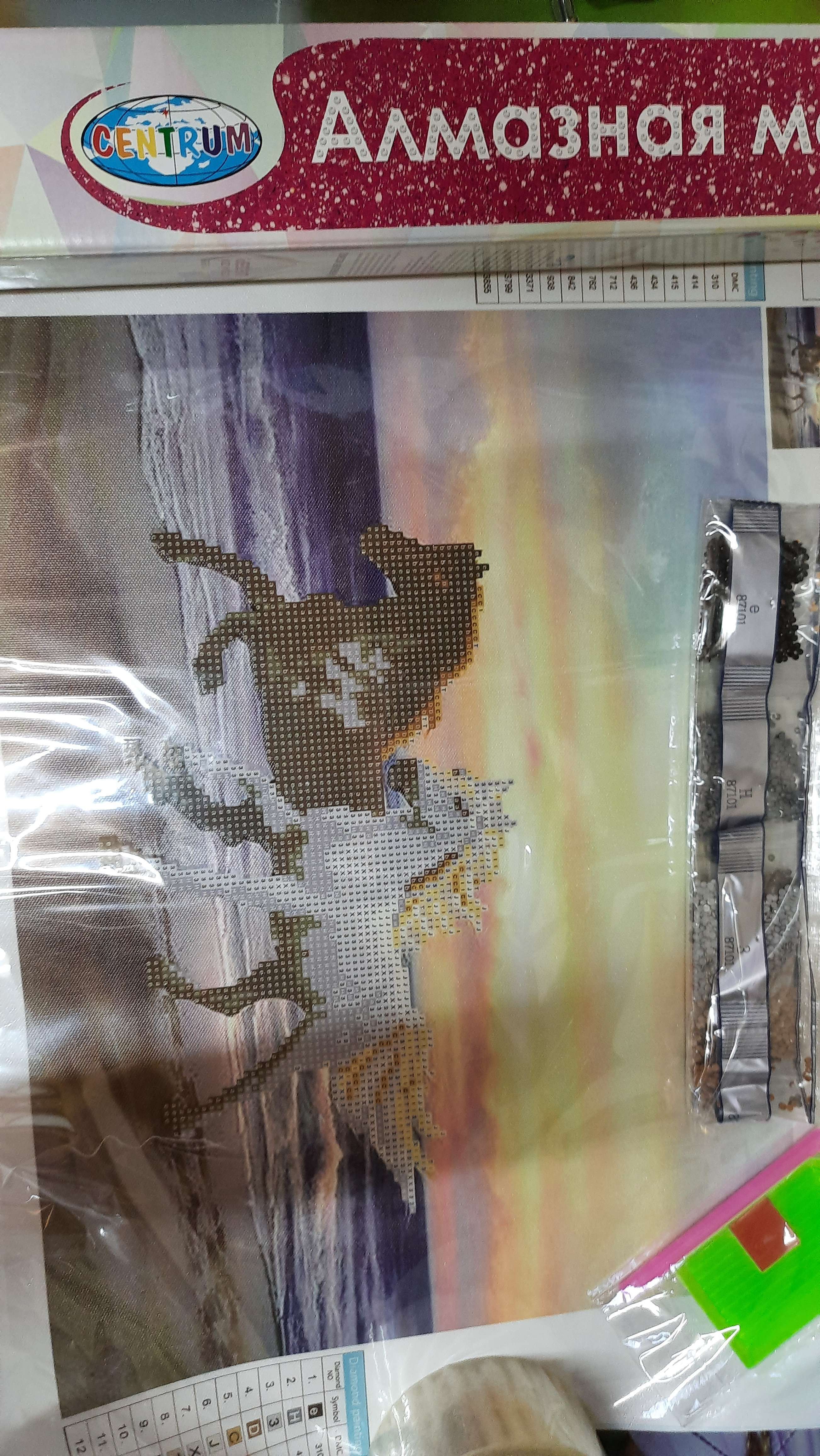 Фотография покупателя товара Алмазная мозаика без подрамника, частичное заполнение «Бегущие кони» 40×50 см - Фото 1