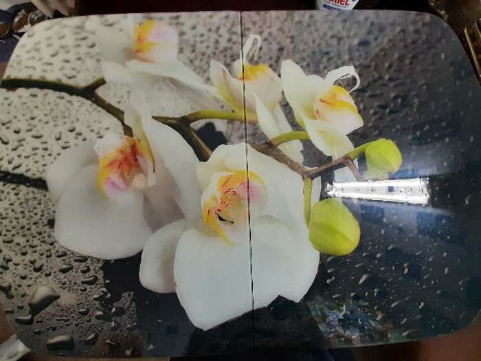 Фотография покупателя товара Стол раздвижной с фп Орхидея в воде, 1100/1500х700х777, стело/пояс белый/прямые ноги - Фото 29