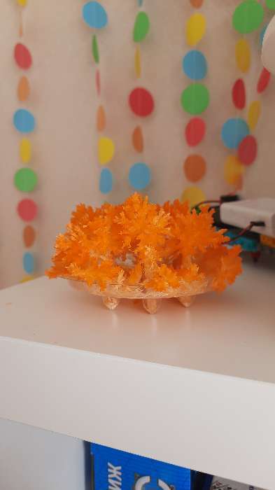 Фотография покупателя товара Набор для выращивания кристалла «Опыты. Лучистые кристаллы», цвет оранжевый