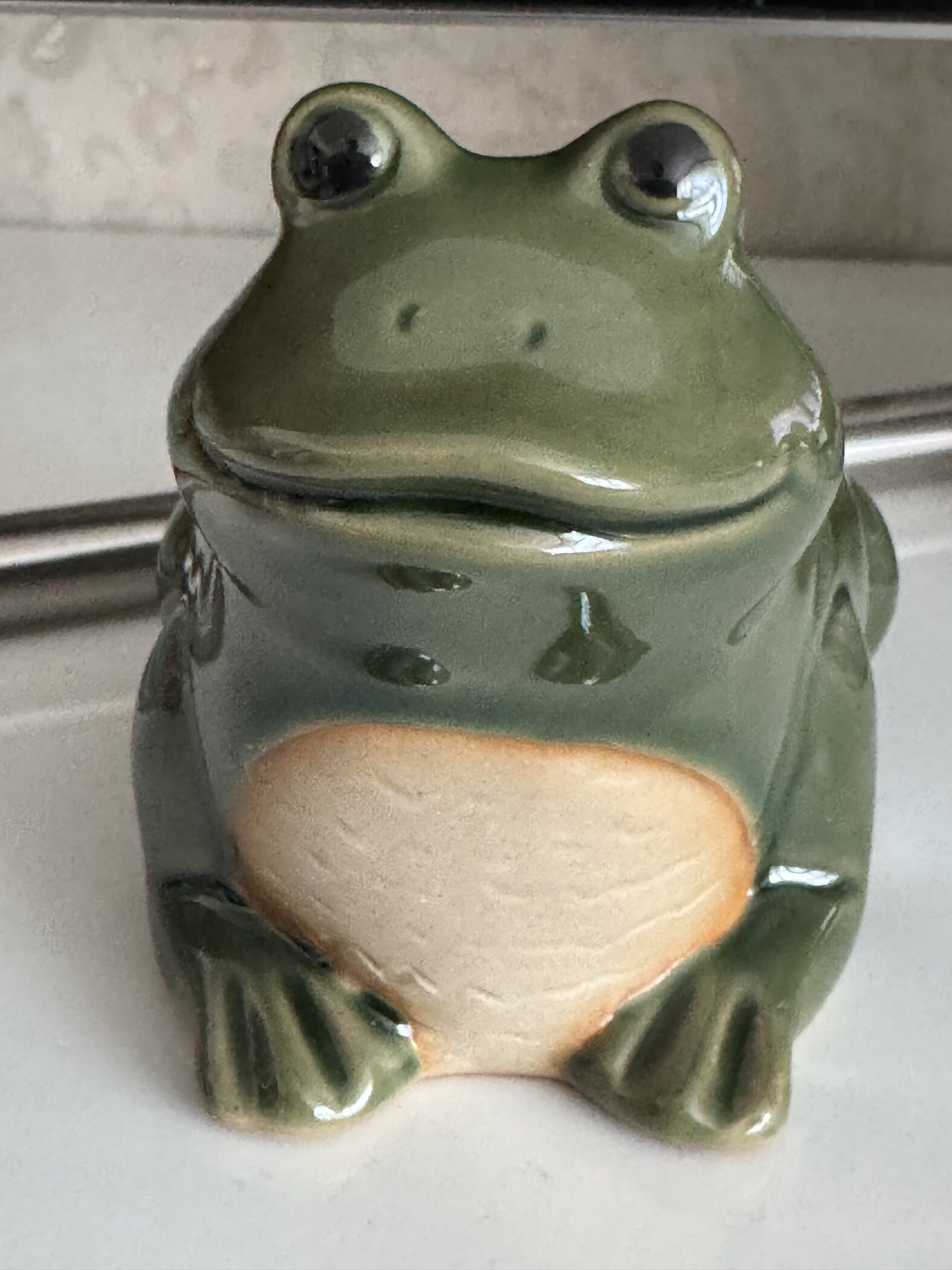 Фотография покупателя товара Декоративный горшок «Лягушка», керамический, 250 мл, 12×10×9 см, зелёный - Фото 5