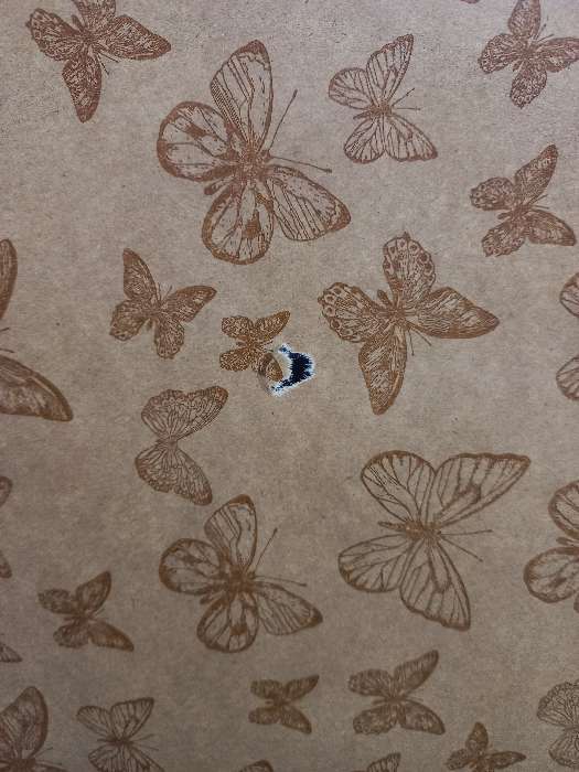 Фотография покупателя товара Бумага крафт в рулоне «Бабочки», 0,7 × 8 м - Фото 1