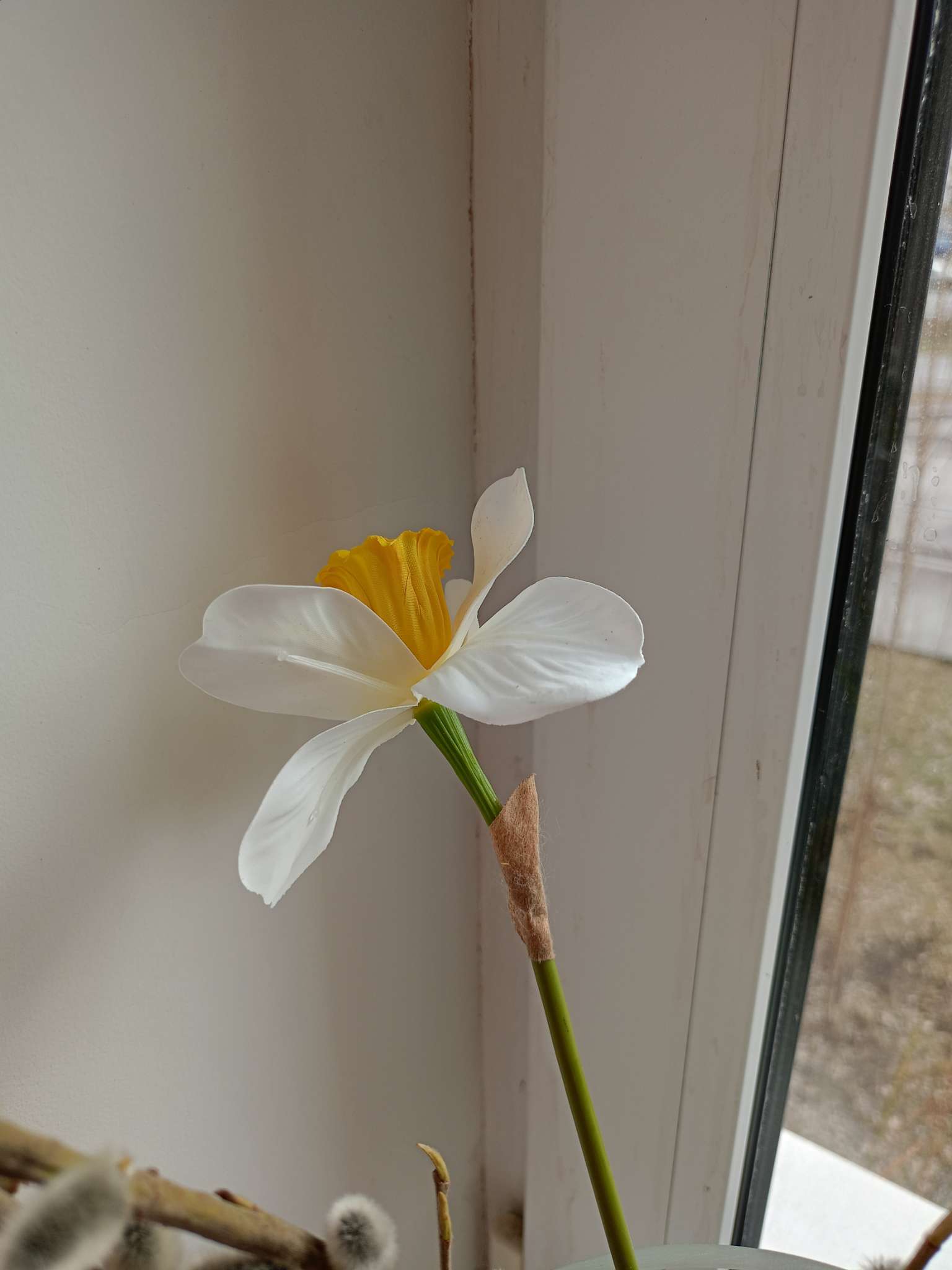 Фотография покупателя товара Цветы искусственные «Нарцисс», премиум, 9×35 см, бело-жёлтые