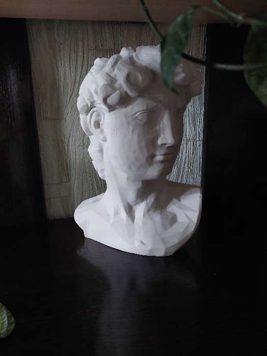Фотография покупателя товара Фигурное кашпо-органайзер "Голова Давида", белый, 26 см