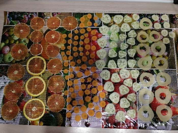 Фотография покупателя товара Сушилка для овощей и фруктов "Самобранка", 150 Вт, 75 х 50 см, рисунок "Фрукты" - Фото 4
