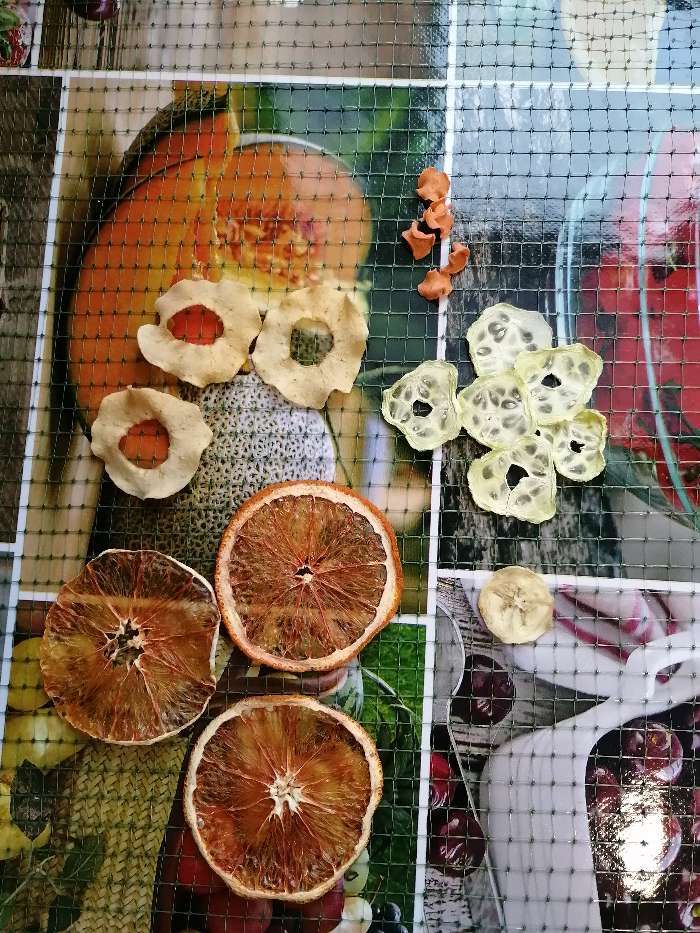 Фотография покупателя товара Сушилка для овощей и фруктов "Самобранка", 150 Вт, 75 х 50 см, рисунок "Фрукты" - Фото 2