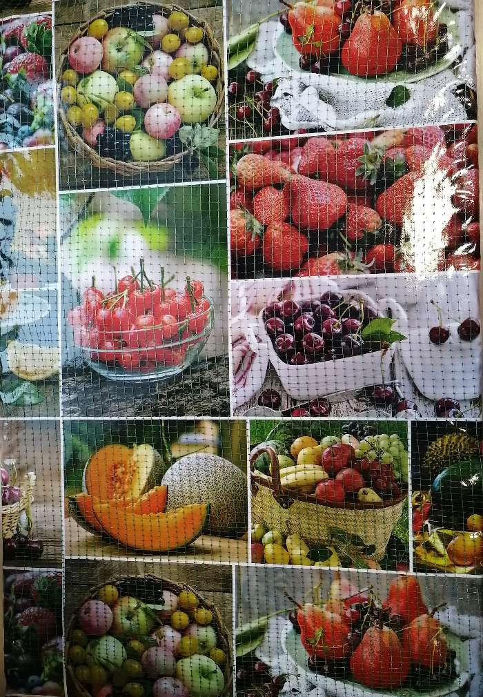 Фотография покупателя товара Сушилка для овощей и фруктов "Самобранка", 150 Вт, 75 х 50 см, рисунок "Фрукты" - Фото 1