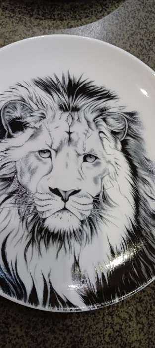 Фотография покупателя товара Тарелка Добрушский завод «Лев», d=17.5 см, фарфор, белая - Фото 8