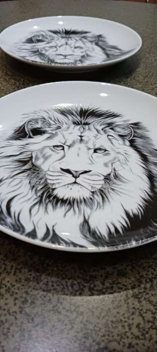 Фотография покупателя товара Тарелка Добрушский завод «Лев», d=17.5 см, фарфор, белая - Фото 5