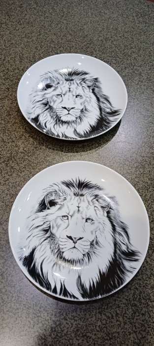 Фотография покупателя товара Тарелка Добрушский завод «Лев», d=17.5 см, фарфор, белая - Фото 6