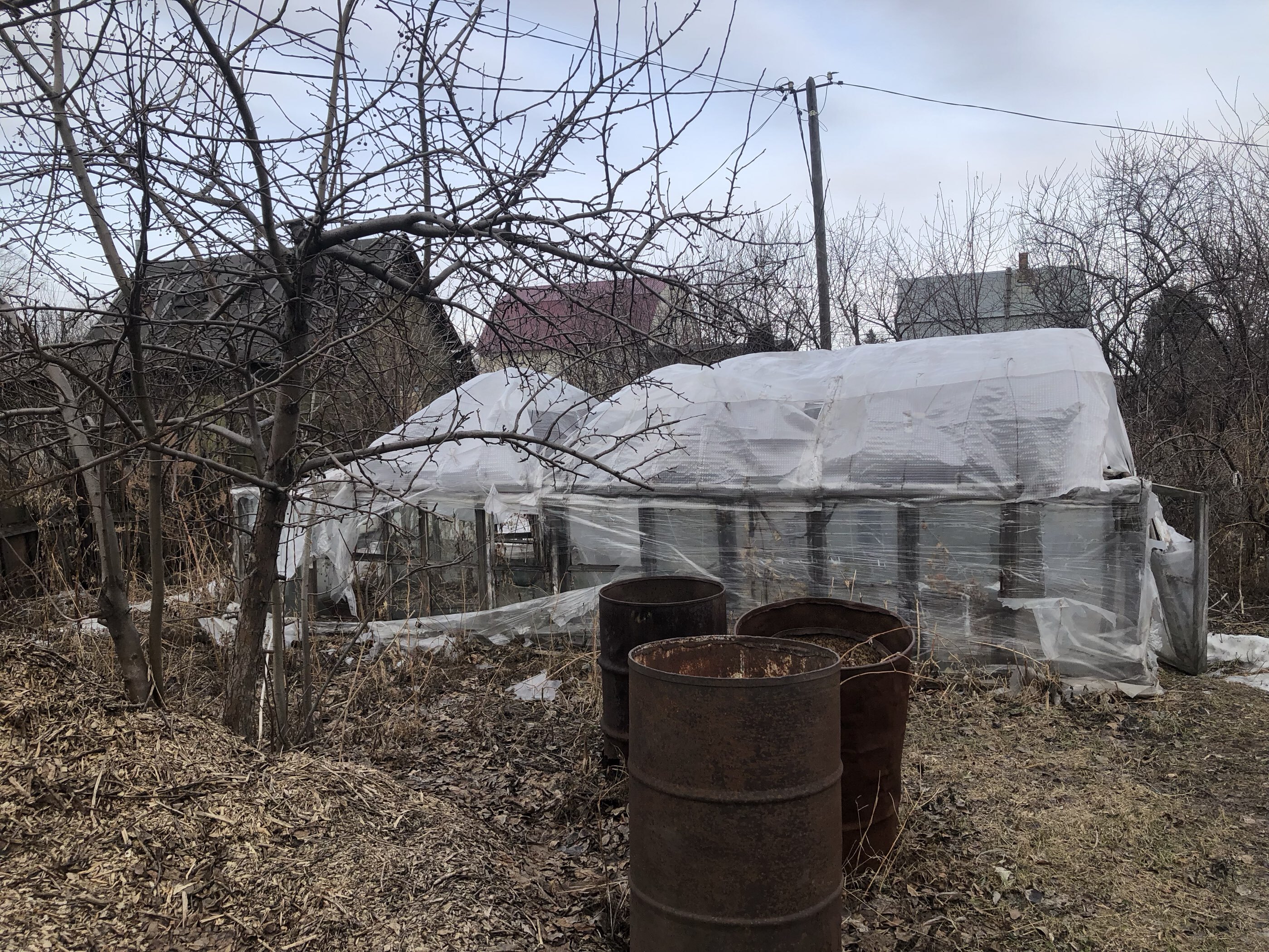 Фотография покупателя товара Плёнка армированная для теплиц Greengo, полиэтиленовая с леской, УФ-стабилизатором, 10×2 м, 200 мкм - Фото 5