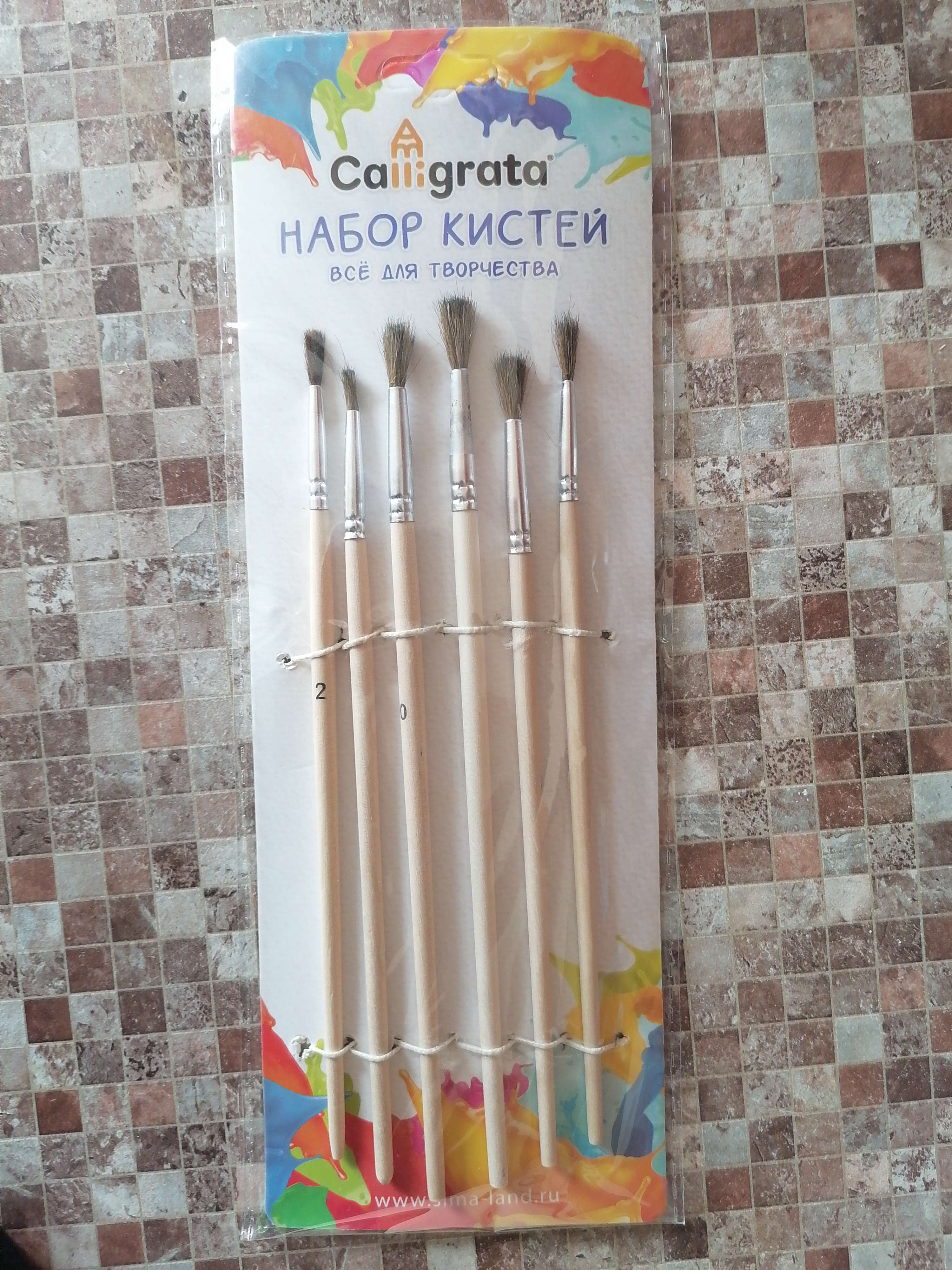 Фотография покупателя товара Набор кистей пони 6 штук (круглые:№ 2, 4, 6, 8, 10, 12), с деревянными ручками, на блистере - Фото 6
