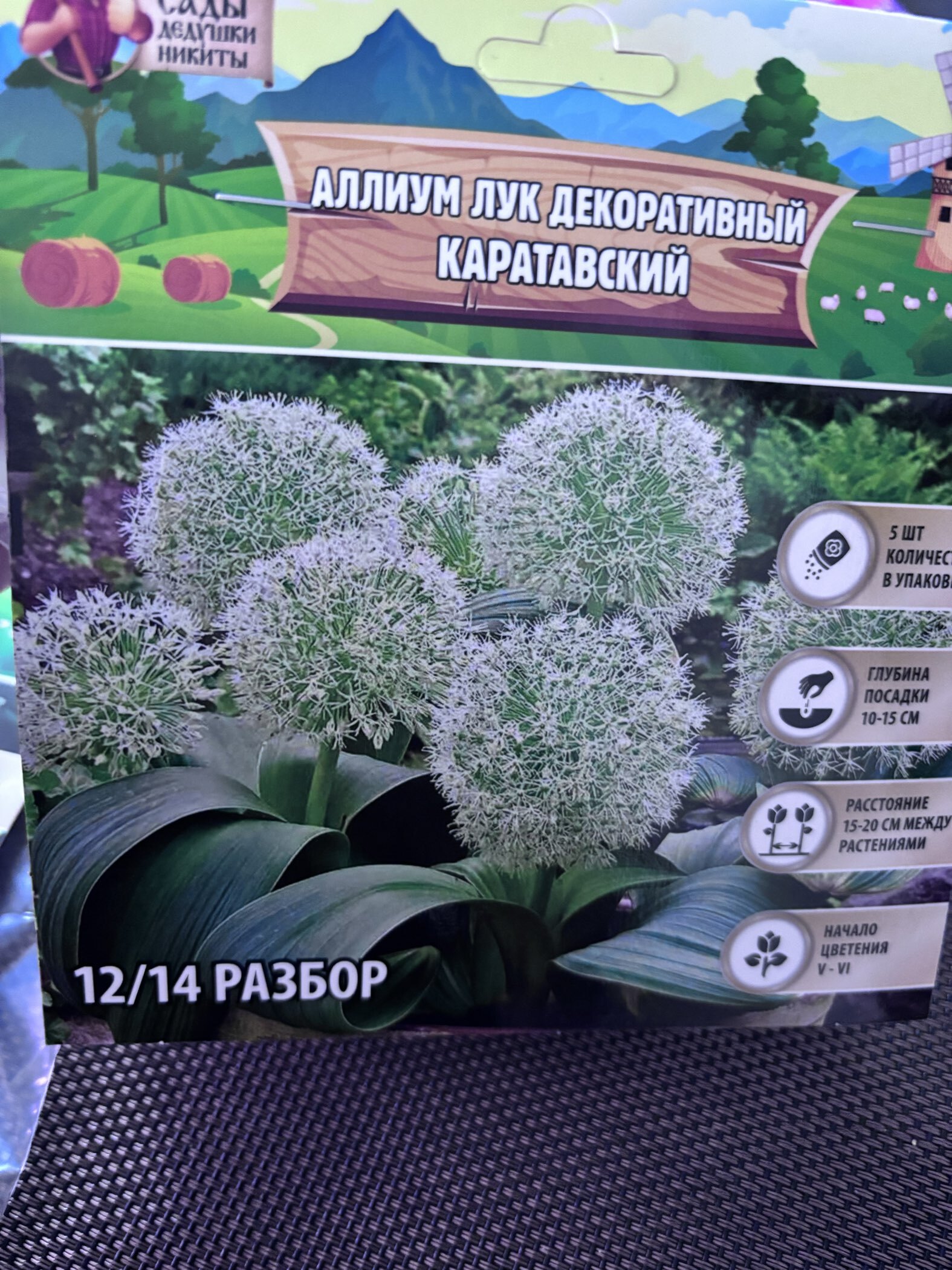 Фотография покупателя товара Аллиум лук декоративный Молли, многолетник, луковица, р-р 4/5, 8 шт. - Фото 13