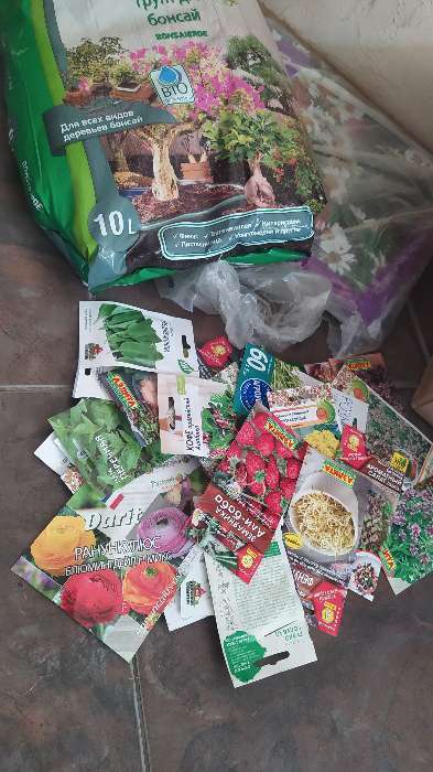 Фотография покупателя товара Семена цветов Лаванда "Пурпурный колос", узколистная, Сем. Алт, ц/п, 5 шт - Фото 16