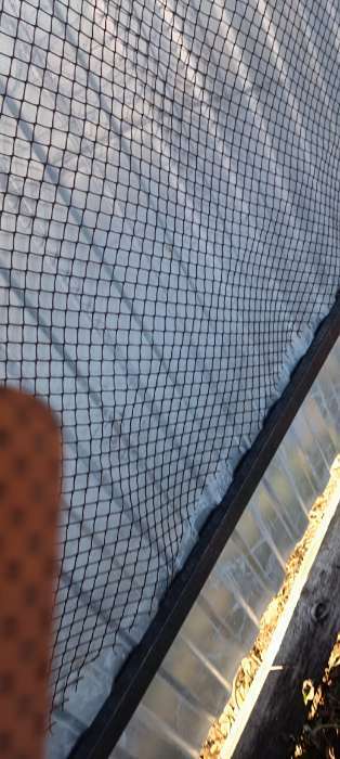 Фотография покупателя товара Сетка садовая, 1×20 м, ячейка ромб 15×15 мм, пластиковая, коричневая, Greengo, в рулоне - Фото 2