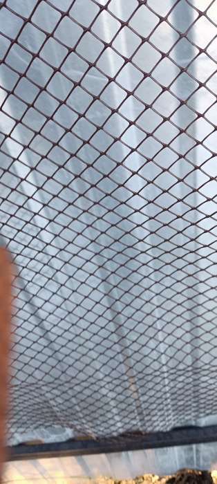 Фотография покупателя товара Сетка садовая, 1×20 м, ячейка ромб 15×15 мм, пластиковая, коричневая, Greengo, в рулоне - Фото 3