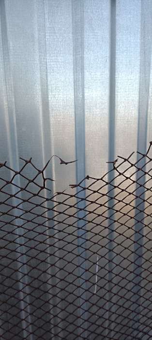 Фотография покупателя товара Сетка садовая, 1×20 м, ячейка ромб 15×15 мм, пластиковая, коричневая, Greengo, в рулоне - Фото 4