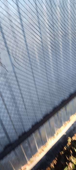 Фотография покупателя товара Сетка садовая, 1×20 м, ячейка ромб 15×15 мм, пластиковая, коричневая, Greengo, в рулоне - Фото 5