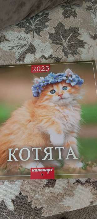 Фотография покупателя товара Календарь перекидной на скрепке «Котята» 2025 год, 12 листов, 29×29 см - Фото 1