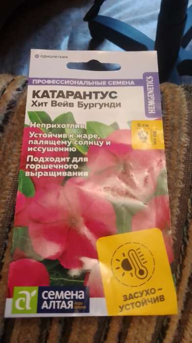 Фотография покупателя товара Семена цветов Катарантус "Теплая волна", бургунди, 5 шт - Фото 5