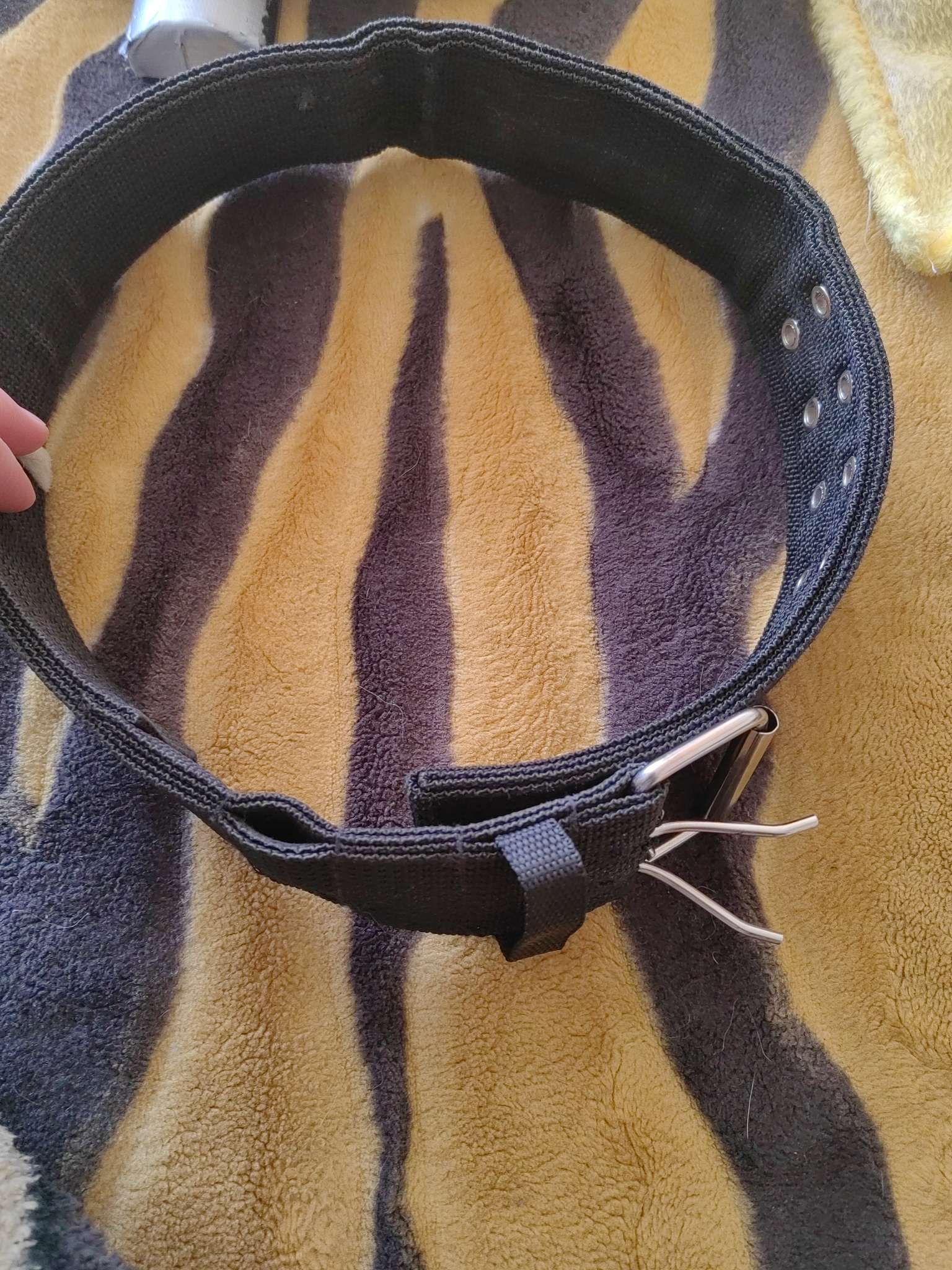 Фотография покупателя товара Ошейник, 80×4.9 см, ОШ 65-75 см, четырёхслойный, полиэстер, чёрный - Фото 4