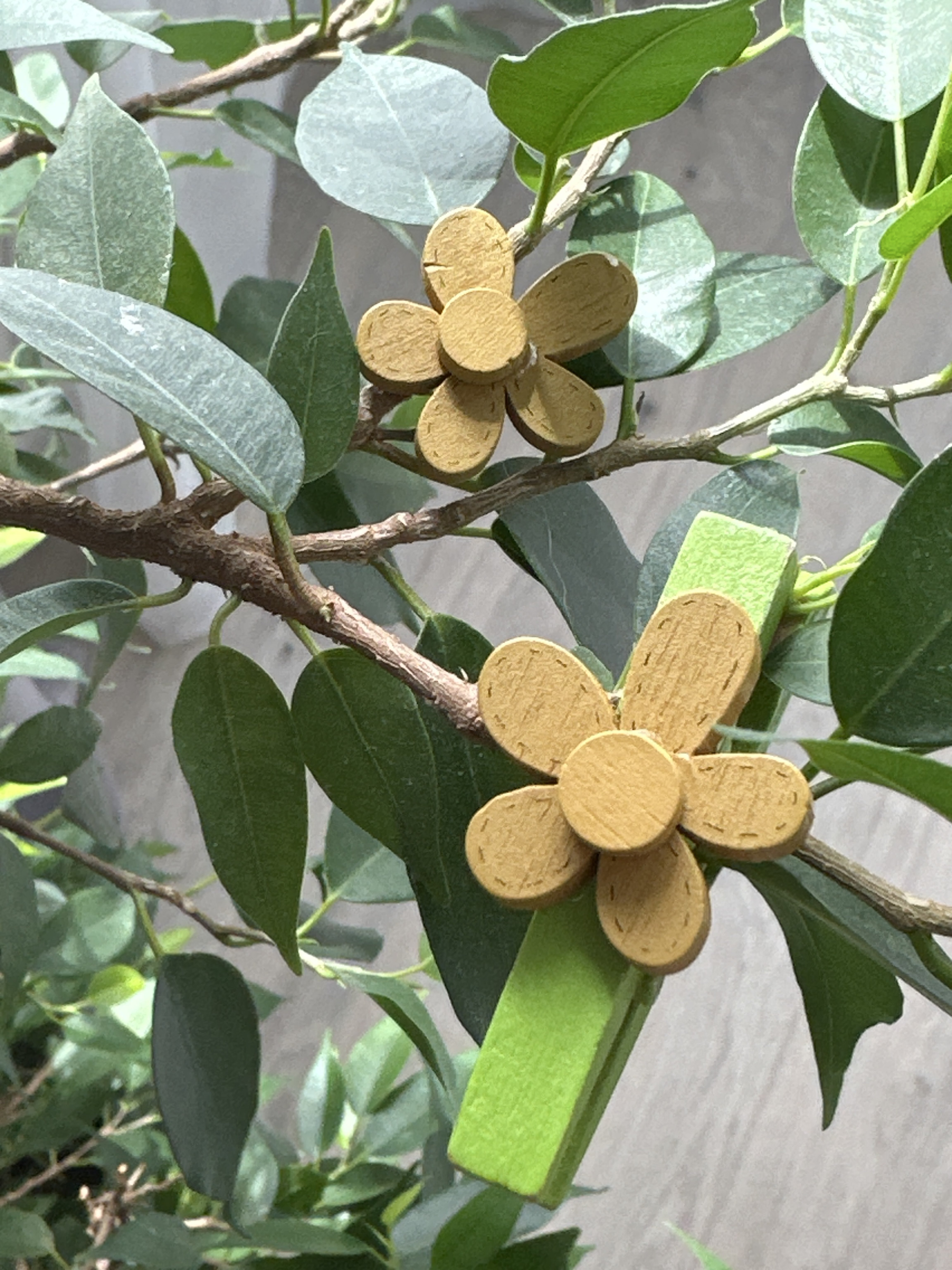 Фотография покупателя товара Декор для творчества дерево «Ромашка и сердцевинка», набор 10+10 шт., горчичный, 2.3×2 см - Фото 1