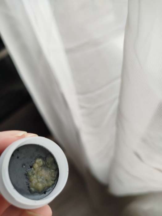 Фотография покупателя товара Гуашь 16 цветов × 10 мл Calligrata - Фото 13