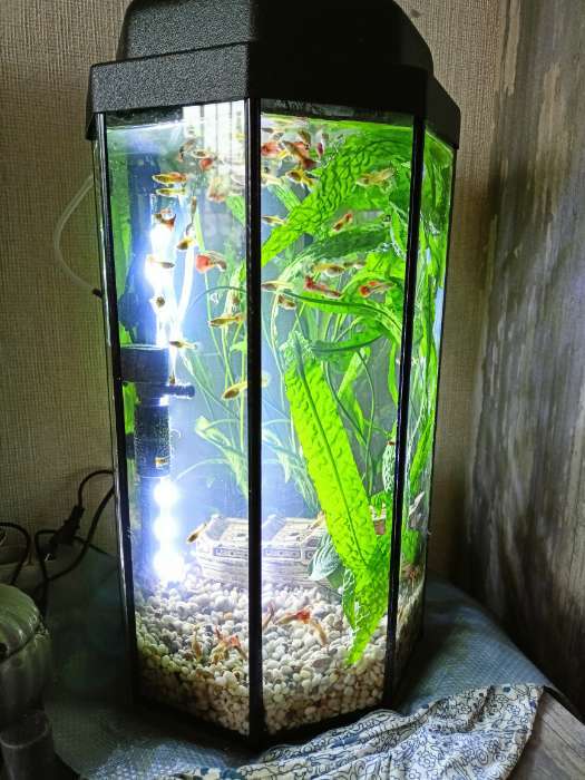 Фотография покупателя товара Фильтр внутренний Sea Star HX-200L, 300 л/ч, 3 Вт - Фото 1