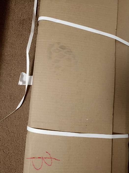 Фотография покупателя товара Шкаф «Энтер», 544×344×1900 мм, цвет дуб сонома/белый - Фото 1