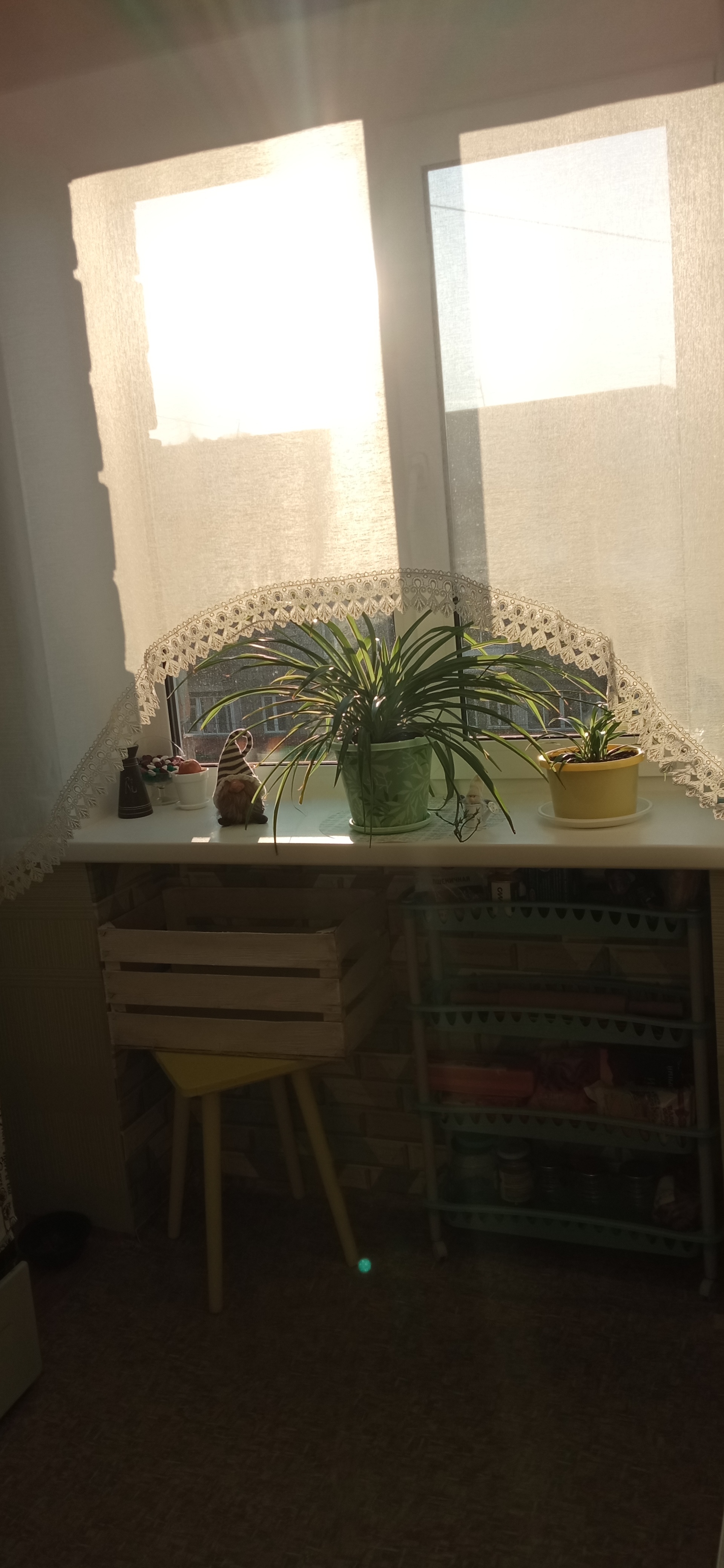 Фотография покупателя товара Мягкая игрушка «Тепла и уюта» - Фото 1