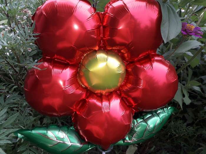 Фотография покупателя товара Шар фольгированный 20" "Цветок" с клапаном, цвет красный - Фото 5