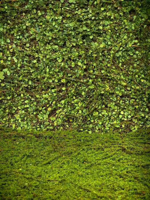 Фотография покупателя товара Декоративная панель, 90×40 см, «Ряска», Greengo - Фото 2