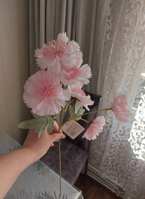 Фотография покупателя товара Цветы искусственные «Гвоздика каспар галант», 58×7 см, белые - Фото 4