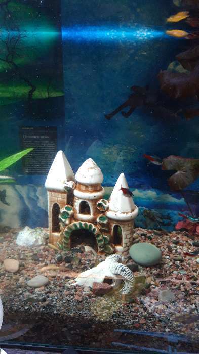 Фотография покупателя товара Декорация для аквариума "Три башни в ряд", 10 х 16 х 15 см, микс