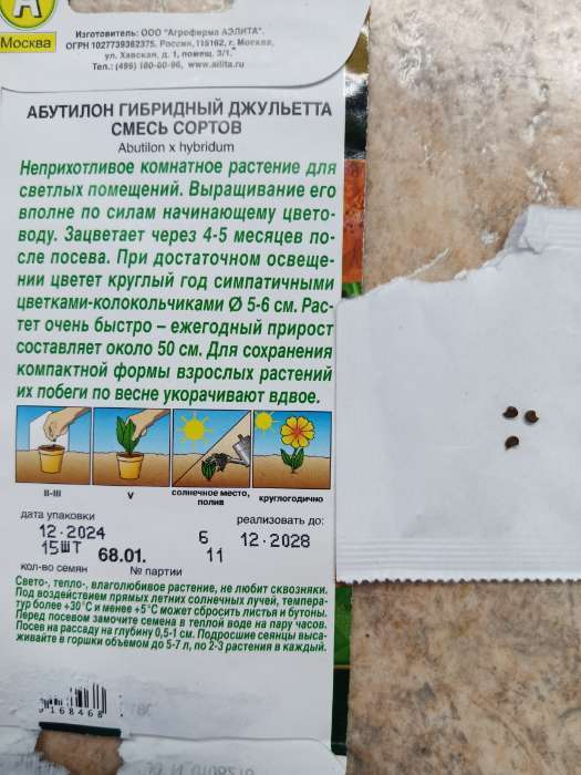 Фотография покупателя товара Семена Абутилон гибридный Джульетта, смесь сортов   Мн Золотая серия 15 шт - Фото 6