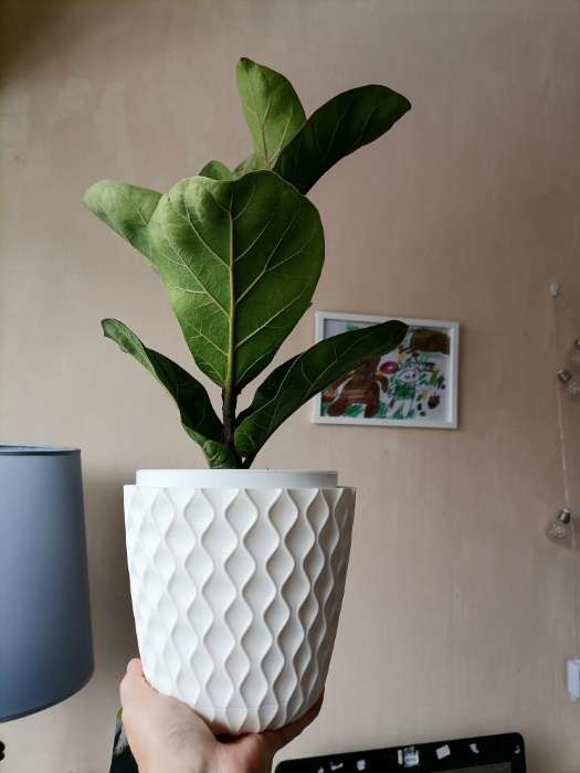 Фотография покупателя товара Горшок для цветов с поддоном «Wave», 2.5 л, d=17.5 см, серый - Фото 15