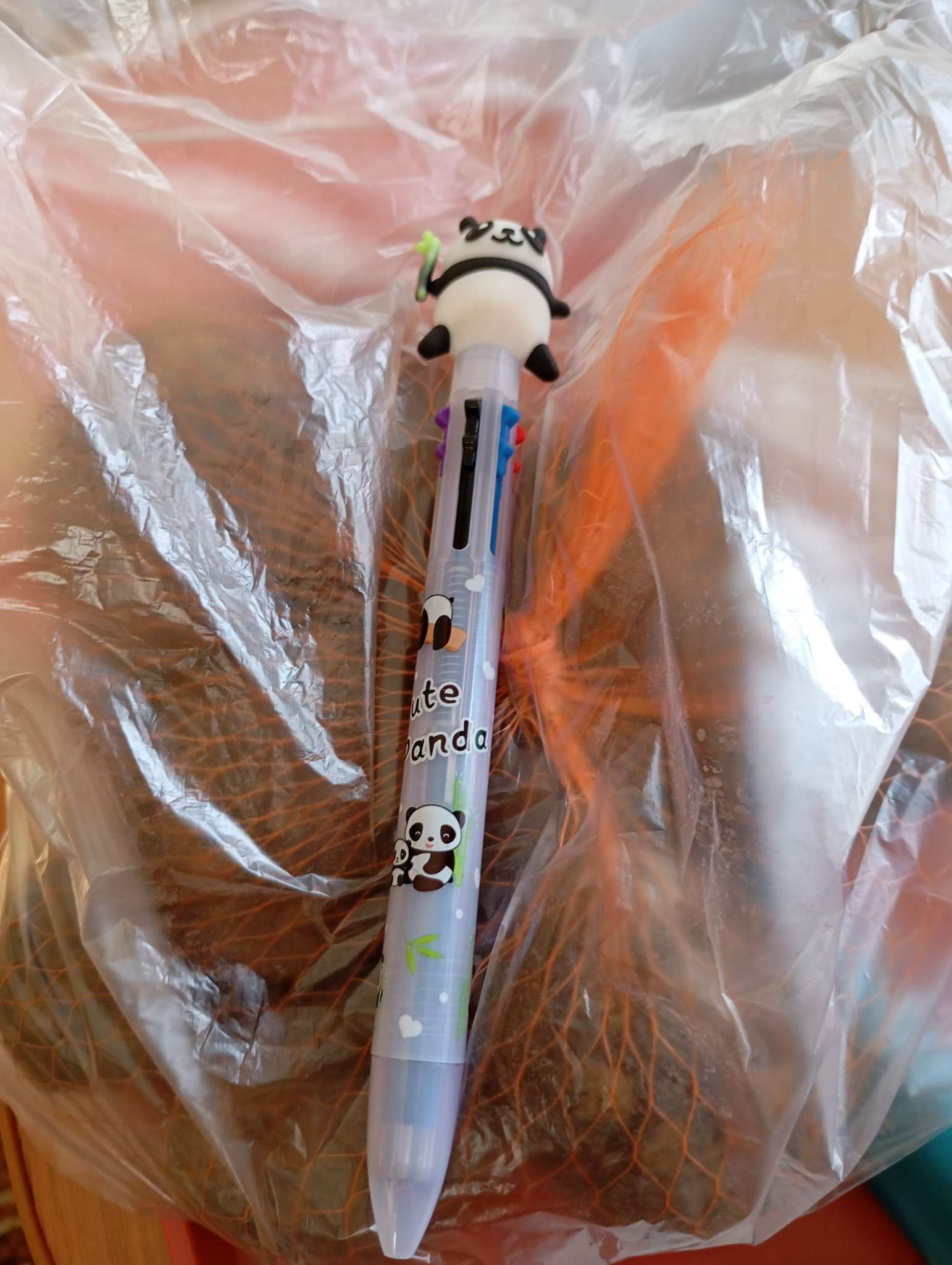 Фотография покупателя товара Ручка шариковая автоматическая «Панда», 6 цветов - Фото 2