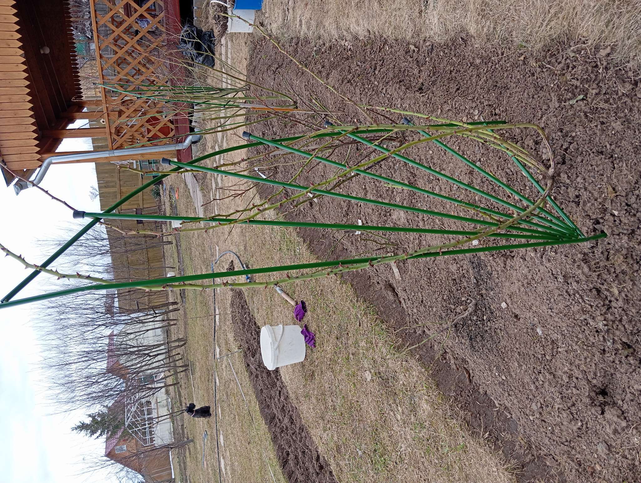 Фотография покупателя товара Шпалера, 150×62×1 см, металл, зелёная, «Парус мини» - Фото 1