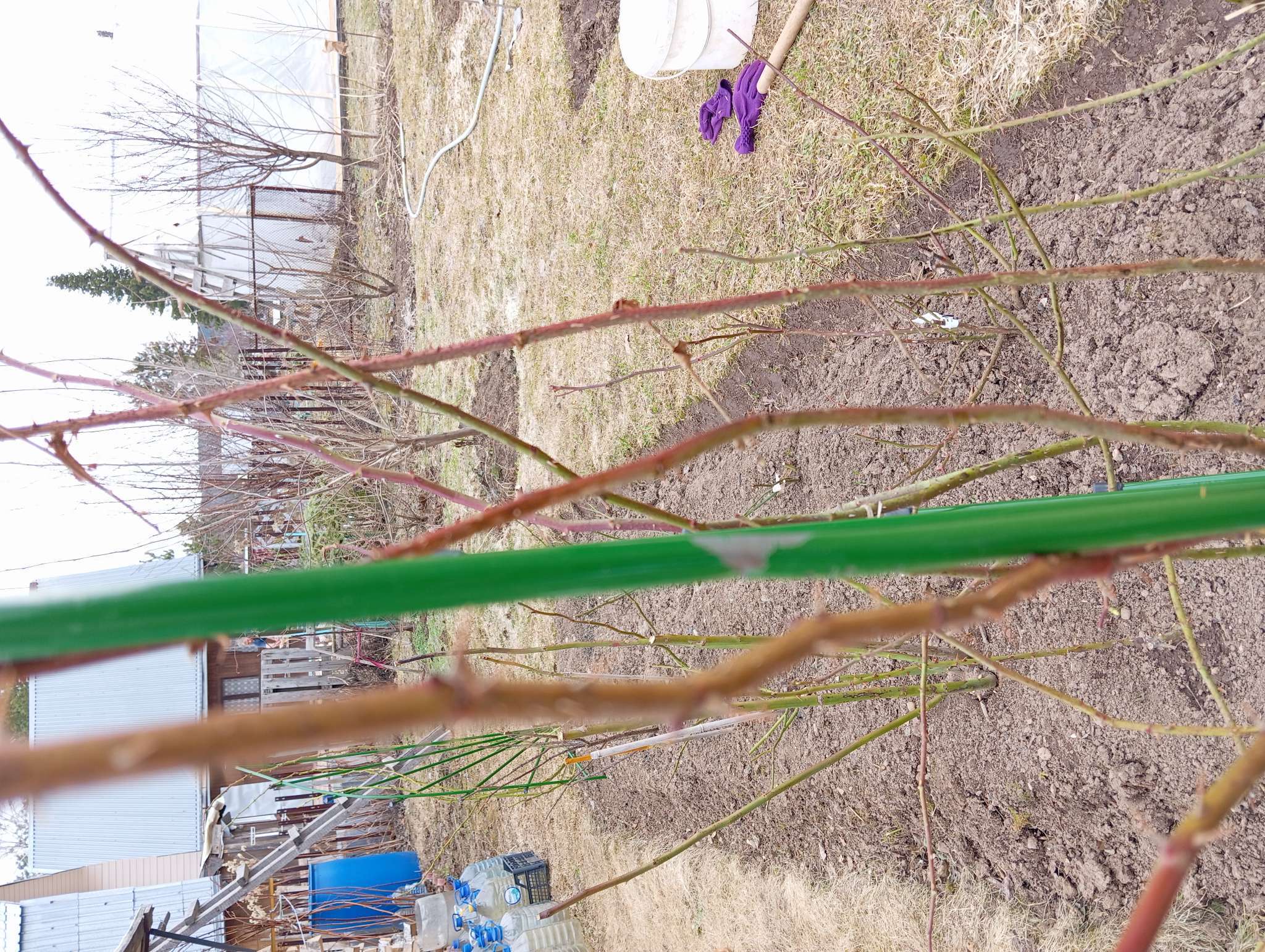 Фотография покупателя товара Шпалера, 150×62×1 см, металл, зелёная, «Парус мини» - Фото 2