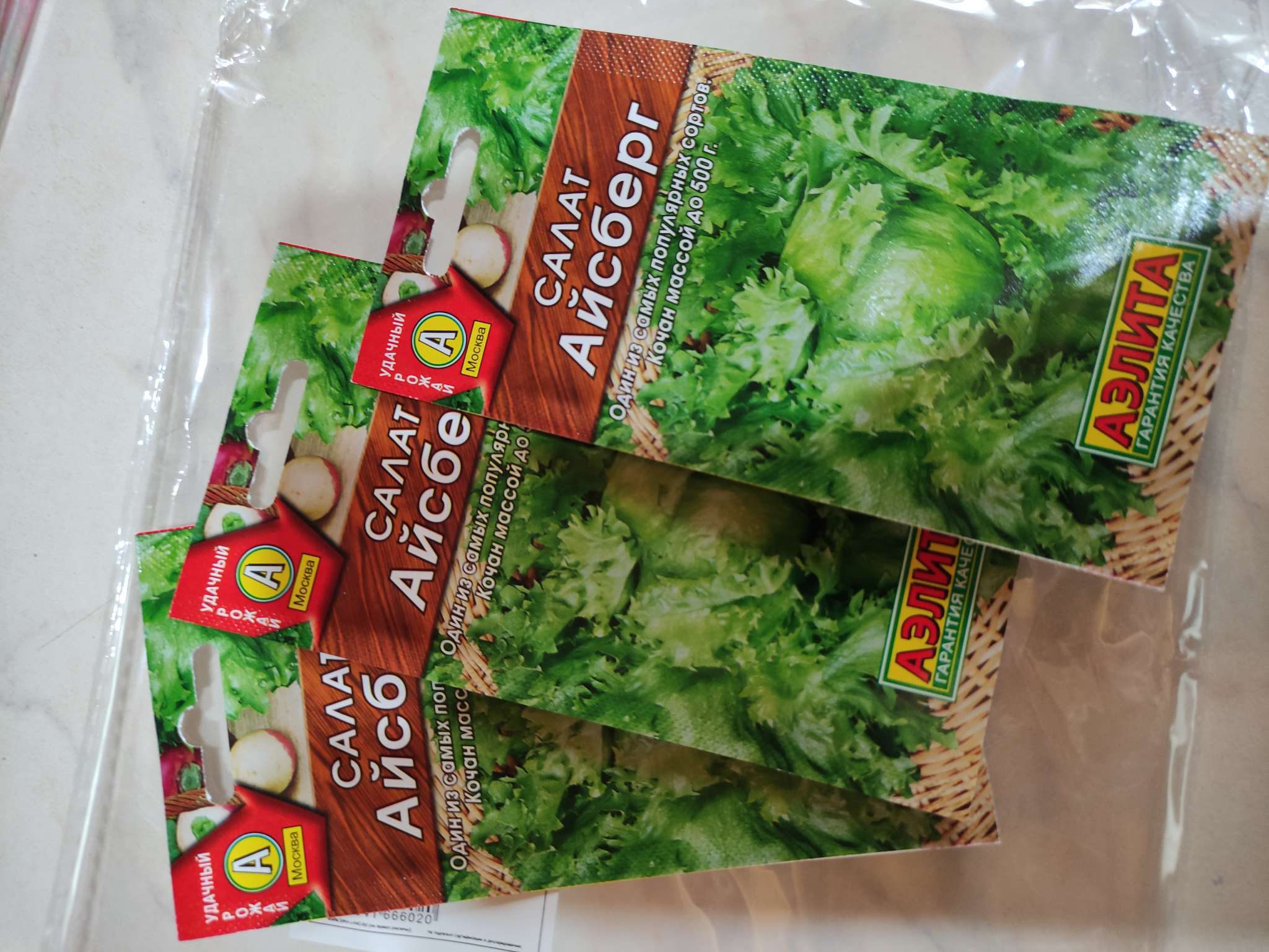 Фотография покупателя товара Семена Салат Айсберг кочанный, 0,5 г - Фото 1