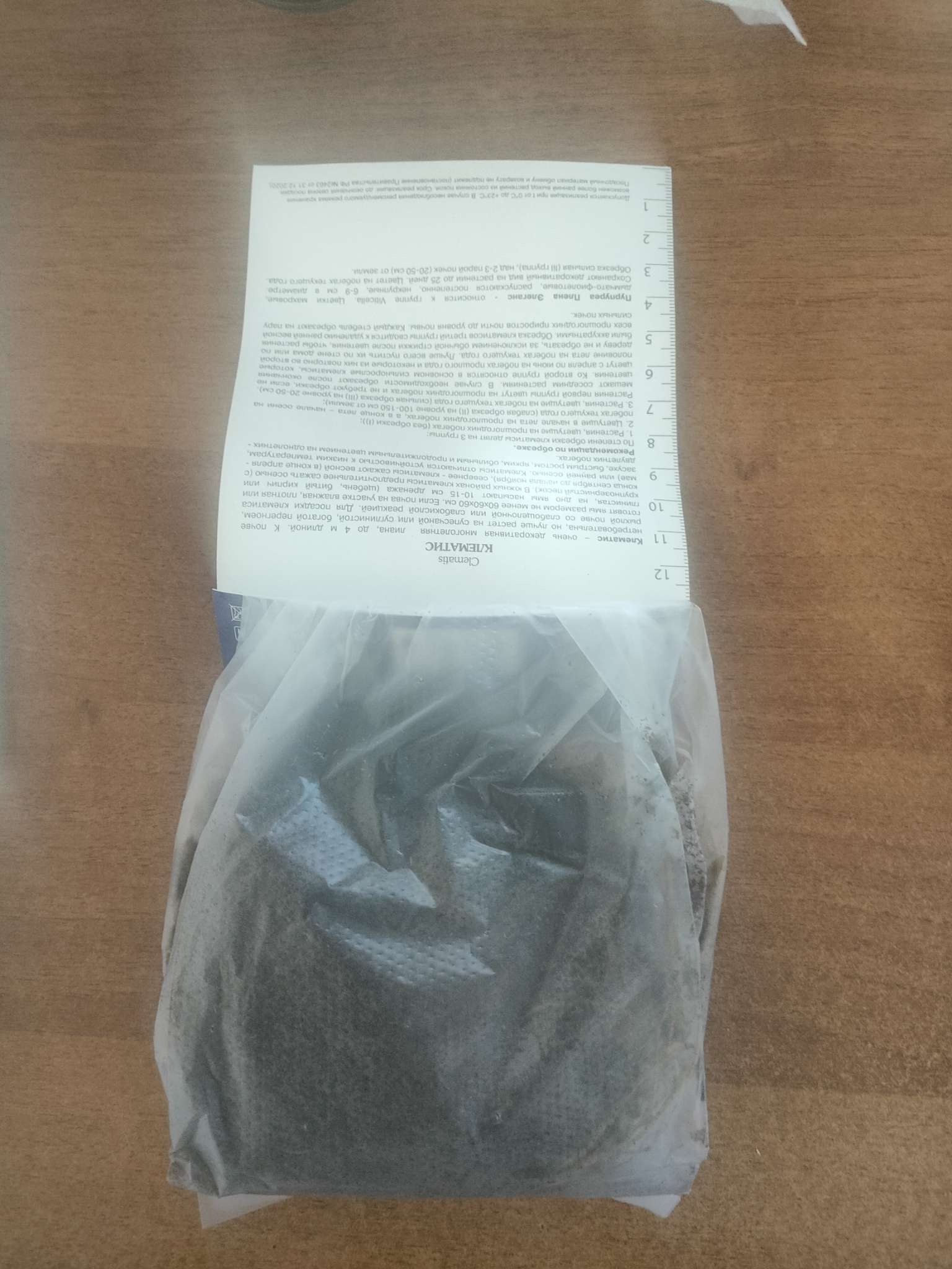 Фотография покупателя товара Клематис ботанический "Пурпуреа Плена Элеганс", капер, 1 шт, Весна 2025 - Фото 1