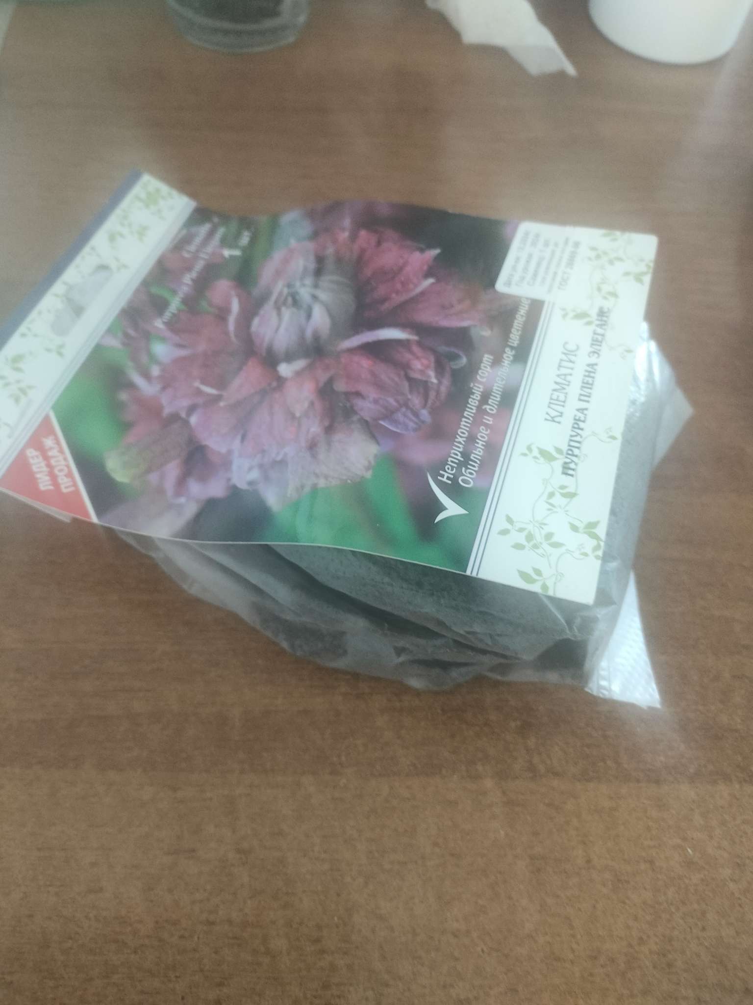 Фотография покупателя товара Клематис ботанический "Пурпуреа Плена Элеганс", капер, 1 шт, Весна 2025 - Фото 2