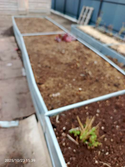 Фотография покупателя товара Грядка оцинкованная, 585×100×34 см, Greengo - Фото 3