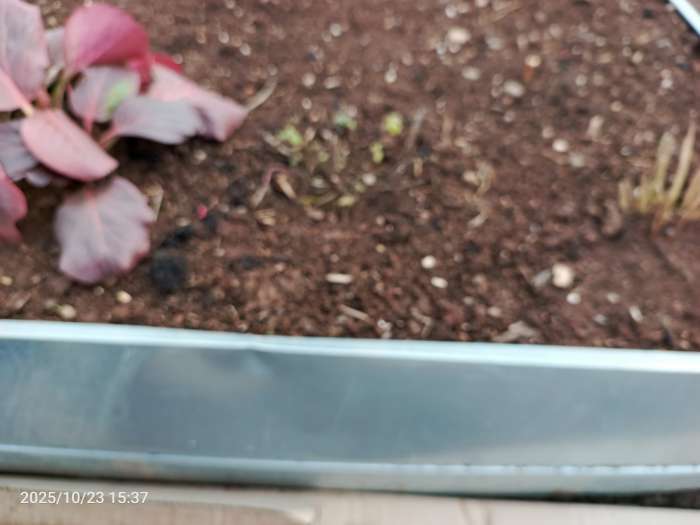 Фотография покупателя товара Грядка оцинкованная, 585×100×34 см, Greengo - Фото 7