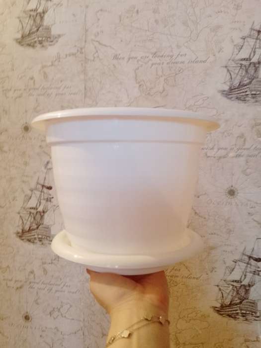 Фотография покупателя товара Горшок для цветов с поддоном «Виола», 5 л, пластиковый, белый - Фото 2