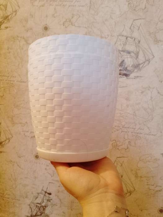 Фотография покупателя товара Горшок для цветов с поддоном «Ротанг», 3 л, d=17 см, h=17 см, пластиковый, белый - Фото 2