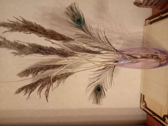 Фотография покупателя товара Сухоцветы «Камыш», h=80 см, (фасовка 5 шт., цена за 1 шт.), бежевые - Фото 2