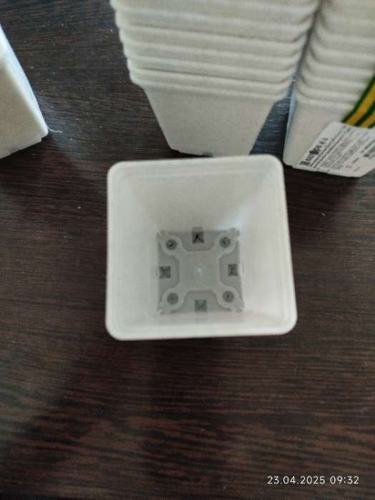 Фотография покупателя товара Горшок для рассады, 500 мл, 9×9×10 см, пластиковый, белый - Фото 4