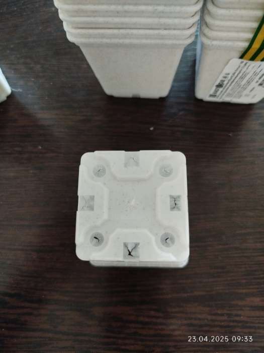 Фотография покупателя товара Горшок для рассады, 500 мл, 9×9×10 см, пластиковый, белый - Фото 2